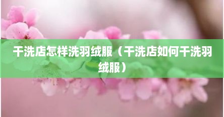 干洗店怎样洗羽绒服（干洗店如何干洗羽绒服）