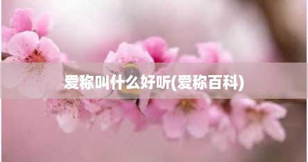 爱称叫什么好听(爱称百科)