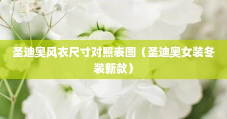 圣迪奥风衣尺寸对照表图（圣迪奥女装冬装新款）
