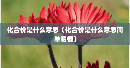 化合价是什么意思（化合价是什么意思简单易懂）