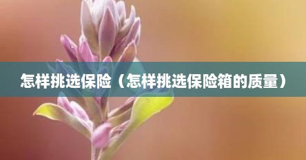 怎样挑选保险（怎样挑选保险箱的质量）