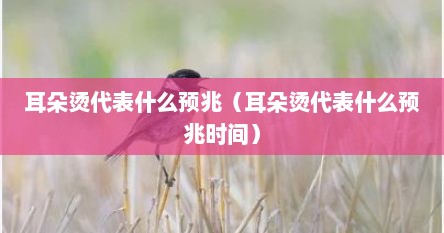 耳朵烫代表什么预兆（耳朵烫代表什么预兆时间）