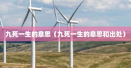 九死一生的意思（九死一生的意思和出处）