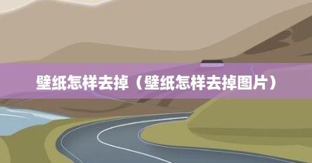 壁纸怎样去掉（壁纸怎样去掉图片）