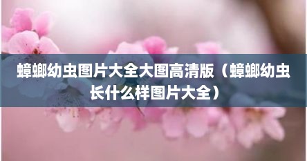 蟑螂幼虫图片大全大图高清版（蟑螂幼虫长什么样图片大全）