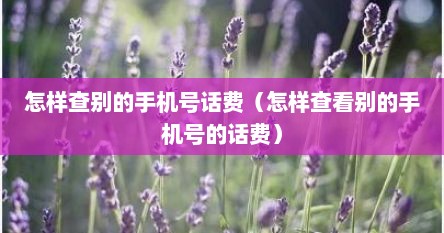 怎样查别的手机号话费（怎样查看别的手机号的话费）