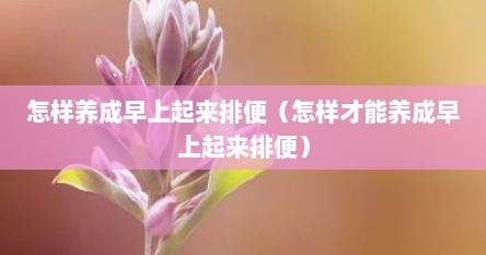 怎样养成早上起来排便（怎样才能养成早上起来排便）