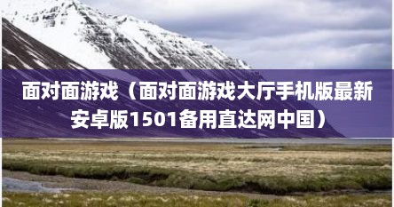 面对面游戏（面对面游戏大厅手机版最新安卓版1501备用直达网中国）