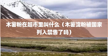 木薯粉在超市里叫什么（木薯淀粉被国家列入禁售了吗）