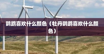 鹦鹉喜欢什么颜色（牡丹鹦鹉喜欢什么颜色）