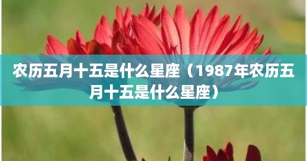 农历五月十五是什么星座（1987年农历五月十五是什么星座）