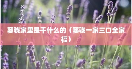 窦骁家里是干什么的（窦骁一家三口全家福）