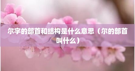 尔字的部首和结构是什么意思（尔的部首叫什么）