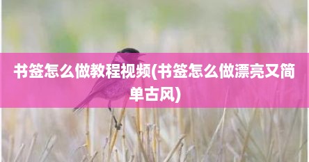 书签怎么做教程视频(书签怎么做漂亮又简单古风)