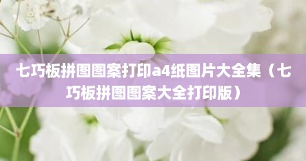 七巧板拼图图案打印a4纸图片大全集（七巧板拼图图案大全打印版）