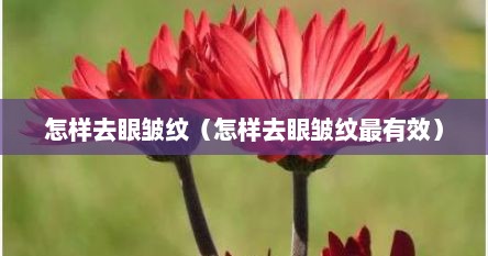怎样去眼皱纹（怎样去眼皱纹最有效）