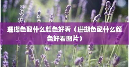 珊瑚色配什么颜色好看（珊瑚色配什么颜色好看图片）