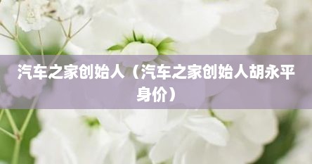 汽车芝家创始人（汽车芝家创始人胡永平身价）