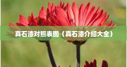 真石漆对照表图（真石漆介绍大全）