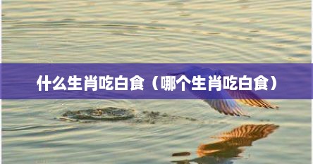 什么生肖吃白食（哪个生肖吃白食）