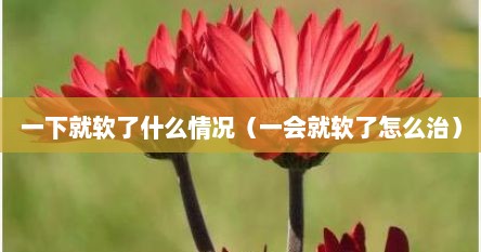 一下就软了什么情况（一会就软了怎么治）