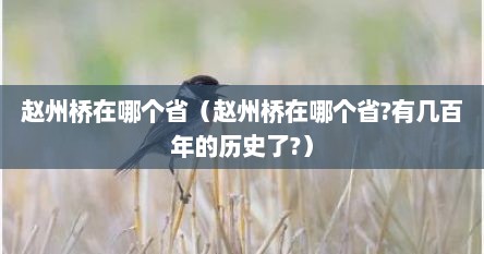 赵州桥在哪个省（赵州桥在哪个省?有几百年的历史了?）