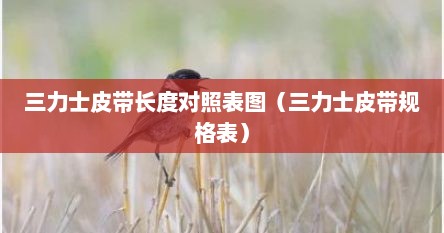 三力士皮带长度对照表图（三力士皮带规格表）