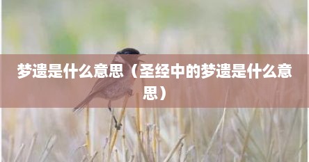 梦遗是什么意思（圣经中的梦遗是什么意思）