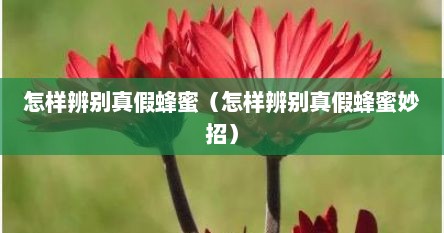 怎样辨别真假蜂蜜（怎样辨别真假蜂蜜妙招）