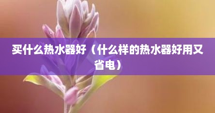 买什么热水器好（什么样的热水器好用又省电）