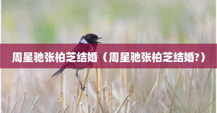 周星驰张柏芝结婚（周星驰张柏芝结婚?）