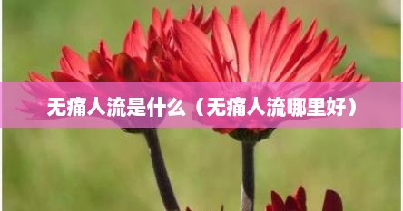 无痛人流是什么（无痛人流哪里好）