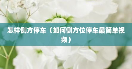 怎样侧方停车（如何侧方位停车最简单视频）
