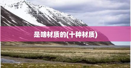 是啥材质的(十种材质)