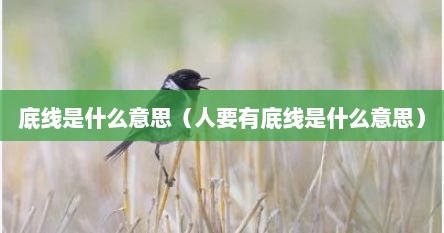 底线是什么意思（人要有底线是什么意思）