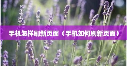 手机怎样刷新页面（手机如何刷新页面）