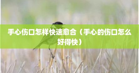 手心伤口怎样快速愈合（手心的伤口怎么好得快）
