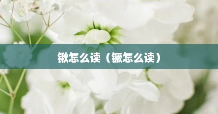 锹怎么读（镢怎么读）