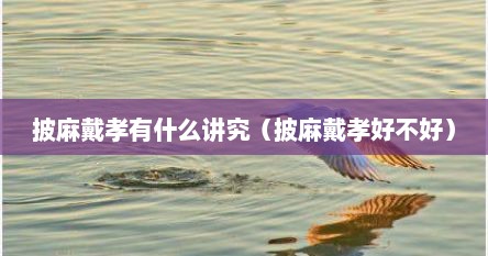 披麻戴孝有什么讲究（披麻戴孝好不好）