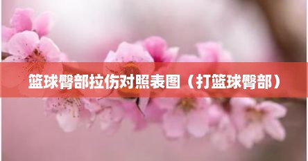 篮球臀部拉伤对照表图（打篮球臀部）