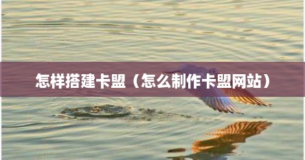 怎样搭建卡盟（怎么制作卡盟网站）