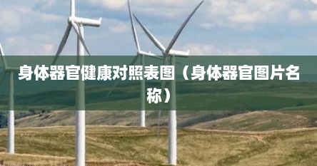 身体器官健康对照表图（身体器官图片名称）