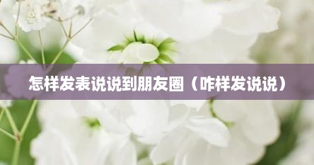 怎样发表说说到朋友圈（咋样发说说）