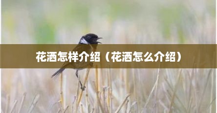 花洒怎样介绍（花洒怎么介绍）