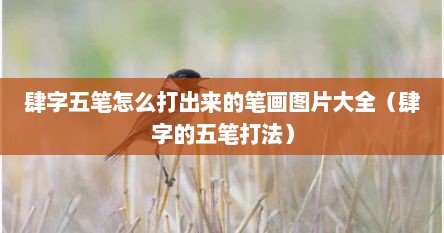 肆字五笔怎么打出来的笔画图片大全（肆字的五笔打法）