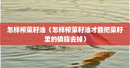 怎样榨菜籽油（怎样榨菜籽油才能把菜籽里的磷脂去掉）