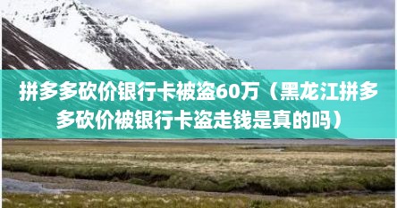 拼多多砍价银行卡被盗60万（黑龙江拼多多砍价被银行卡盗走钱是真的吗）