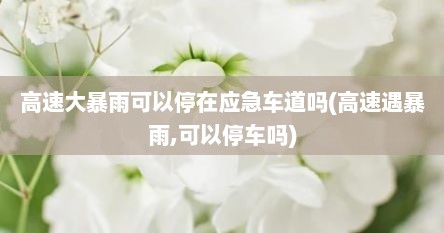 高速大暴雨可以停在应急车道吗(高速遇暴雨,可以停车吗)