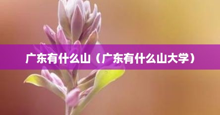 广东有什么山（广东有什么山大学）