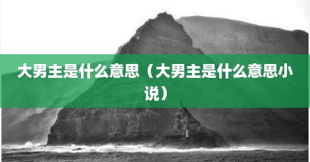 大男主是什么意思（大男主是什么意思小说）